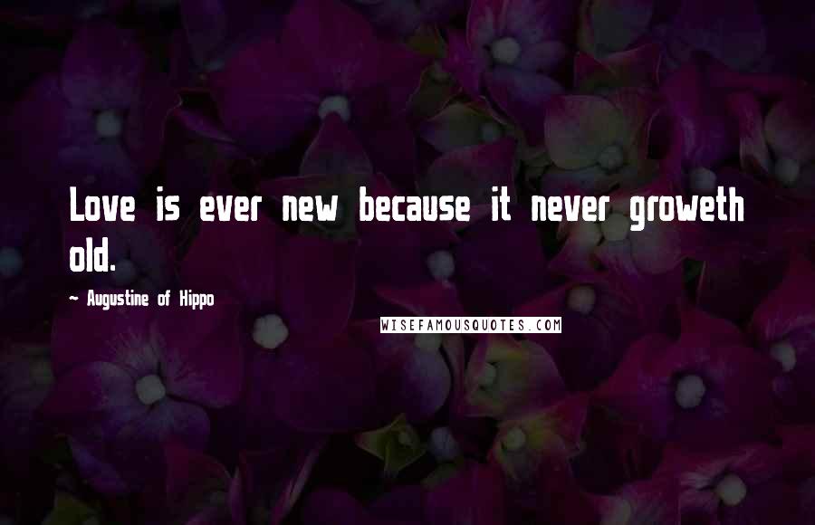 Augustine Of Hippo Quotes: Love is ever new because it never groweth old.