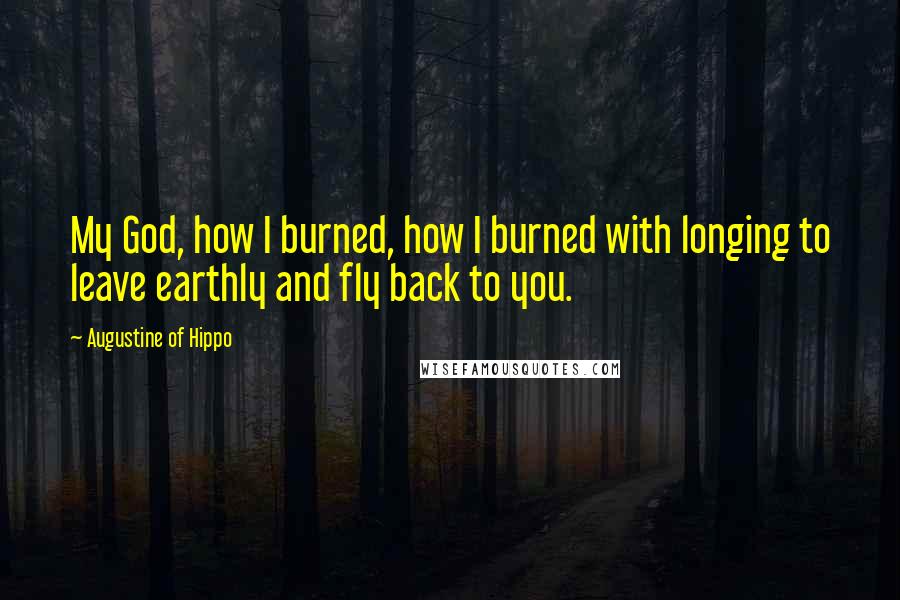 Augustine Of Hippo Quotes: My God, how I burned, how I burned with longing to leave earthly and fly back to you.