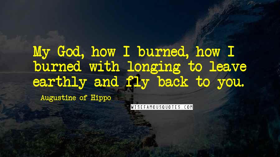 Augustine Of Hippo Quotes: My God, how I burned, how I burned with longing to leave earthly and fly back to you.