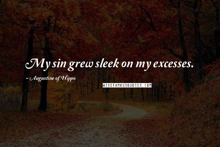 Augustine Of Hippo Quotes: My sin grew sleek on my excesses.