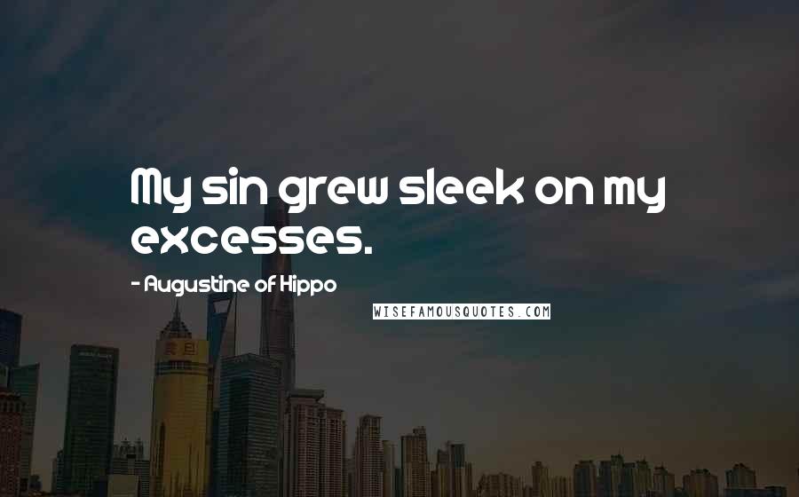 Augustine Of Hippo Quotes: My sin grew sleek on my excesses.