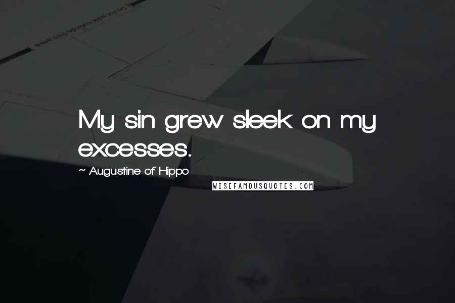 Augustine Of Hippo Quotes: My sin grew sleek on my excesses.