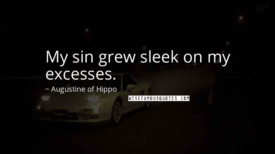 Augustine Of Hippo Quotes: My sin grew sleek on my excesses.