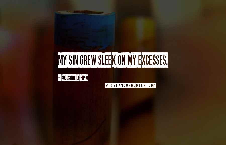 Augustine Of Hippo Quotes: My sin grew sleek on my excesses.