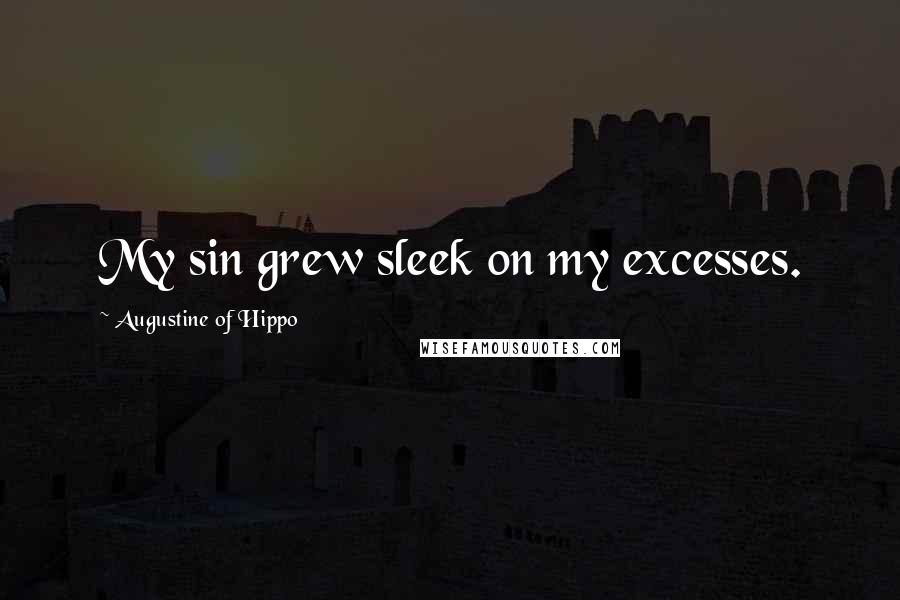 Augustine Of Hippo Quotes: My sin grew sleek on my excesses.