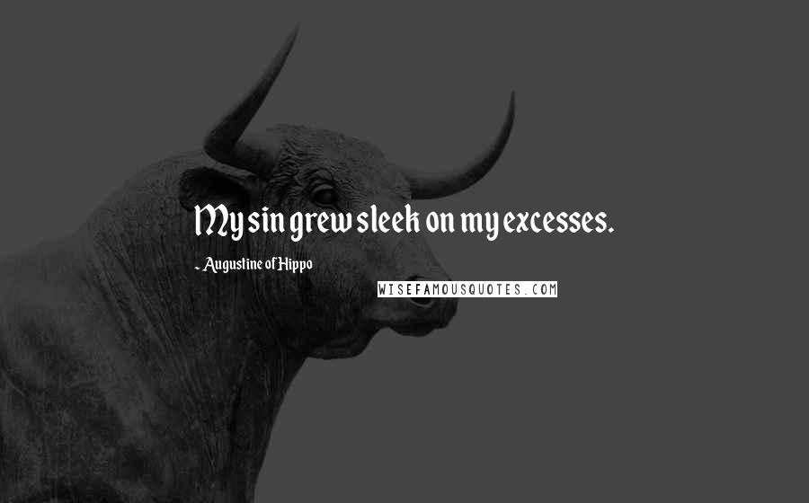 Augustine Of Hippo Quotes: My sin grew sleek on my excesses.