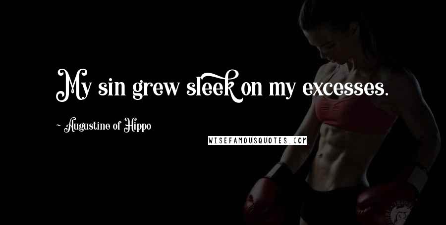 Augustine Of Hippo Quotes: My sin grew sleek on my excesses.
