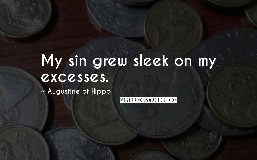 Augustine Of Hippo Quotes: My sin grew sleek on my excesses.
