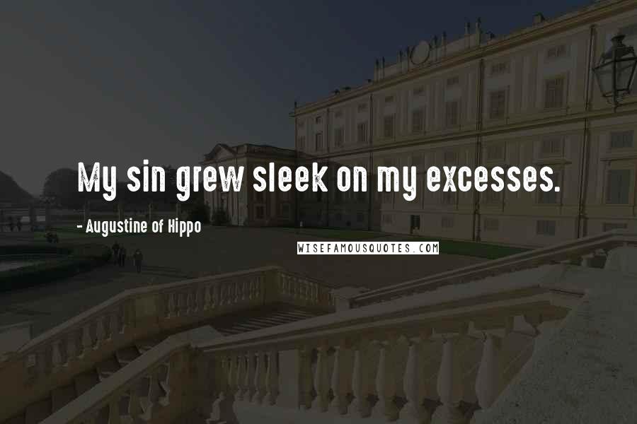 Augustine Of Hippo Quotes: My sin grew sleek on my excesses.