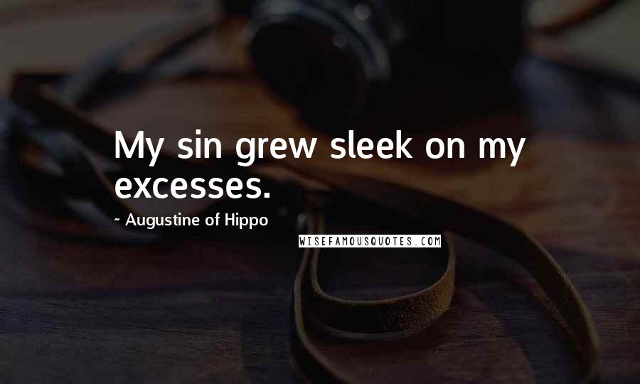 Augustine Of Hippo Quotes: My sin grew sleek on my excesses.