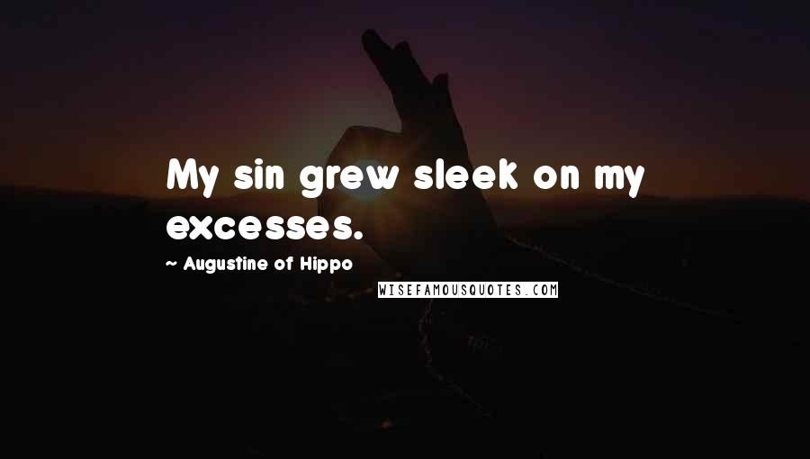 Augustine Of Hippo Quotes: My sin grew sleek on my excesses.