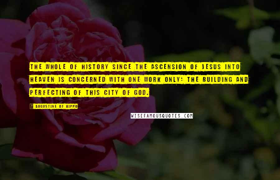 Augustine Of Hippo Quotes: The whole of history since the ascension of Jesus into heaven is concerned with one work only: the building and perfecting of this City of God.