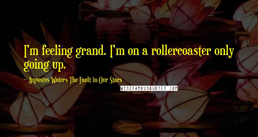 Augustus Waters The Fault In Our Stars Quotes: I'm feeling grand. I'm on a rollercoaster only going up.