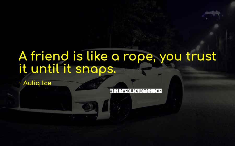 Auliq Ice Quotes: A friend is like a rope, you trust it until it snaps.