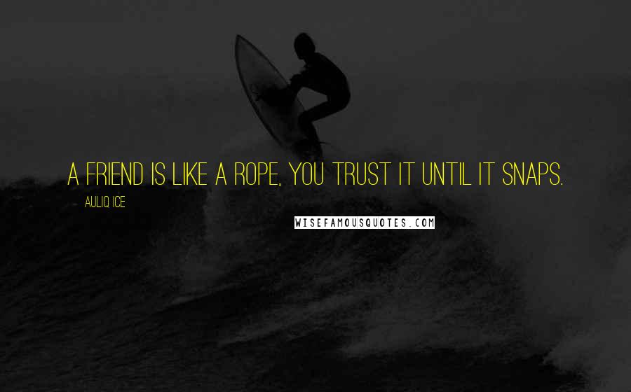 Auliq Ice Quotes: A friend is like a rope, you trust it until it snaps.