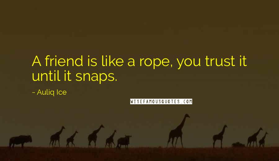 Auliq Ice Quotes: A friend is like a rope, you trust it until it snaps.