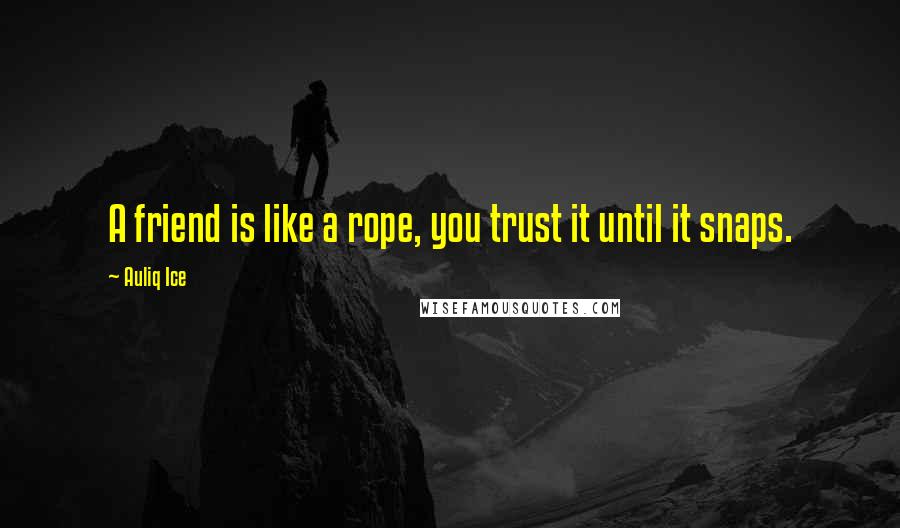 Auliq Ice Quotes: A friend is like a rope, you trust it until it snaps.