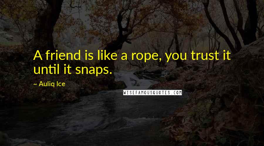 Auliq Ice Quotes: A friend is like a rope, you trust it until it snaps.