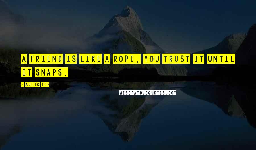 Auliq Ice Quotes: A friend is like a rope, you trust it until it snaps.