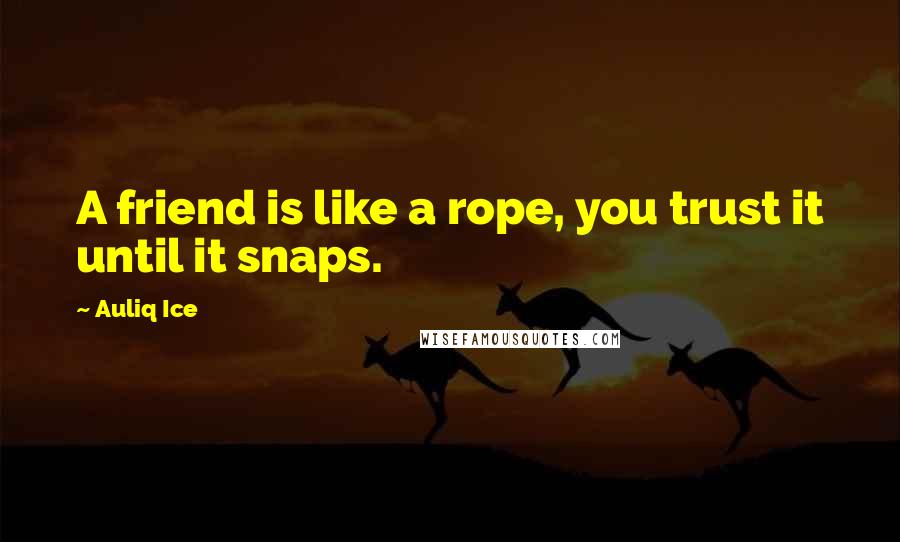 Auliq Ice Quotes: A friend is like a rope, you trust it until it snaps.