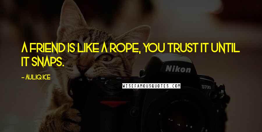 Auliq Ice Quotes: A friend is like a rope, you trust it until it snaps.