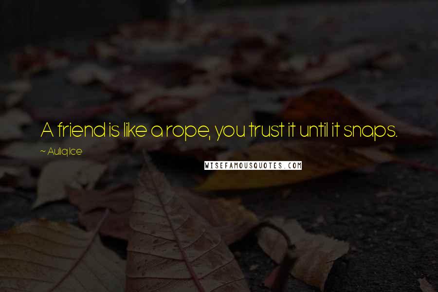 Auliq Ice Quotes: A friend is like a rope, you trust it until it snaps.