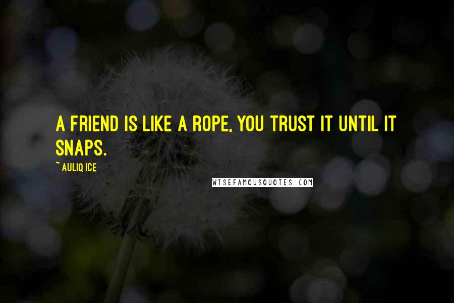 Auliq Ice Quotes: A friend is like a rope, you trust it until it snaps.