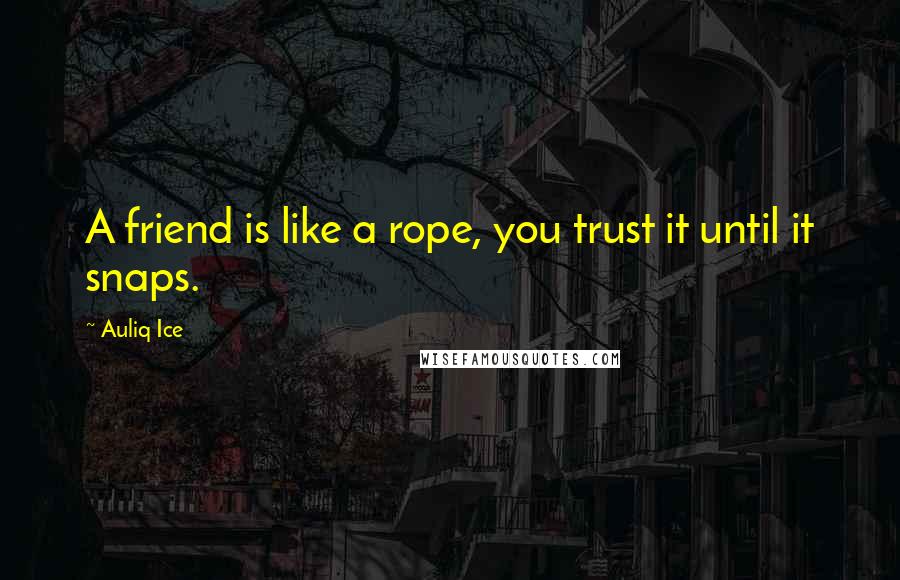 Auliq Ice Quotes: A friend is like a rope, you trust it until it snaps.