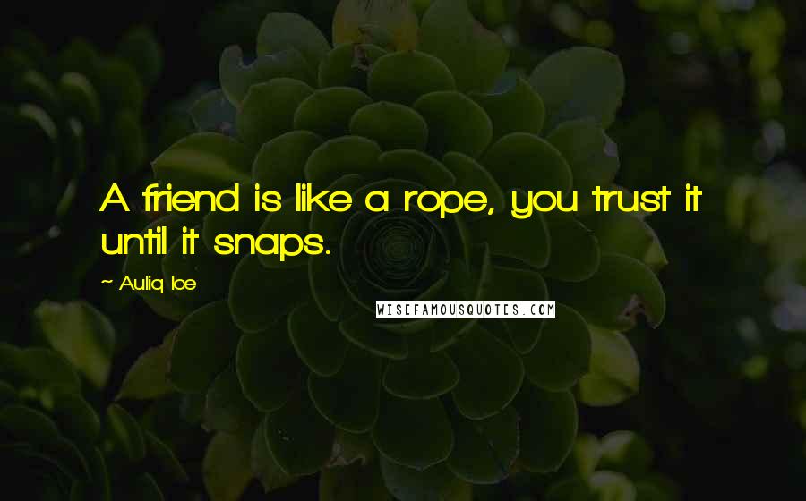 Auliq Ice Quotes: A friend is like a rope, you trust it until it snaps.