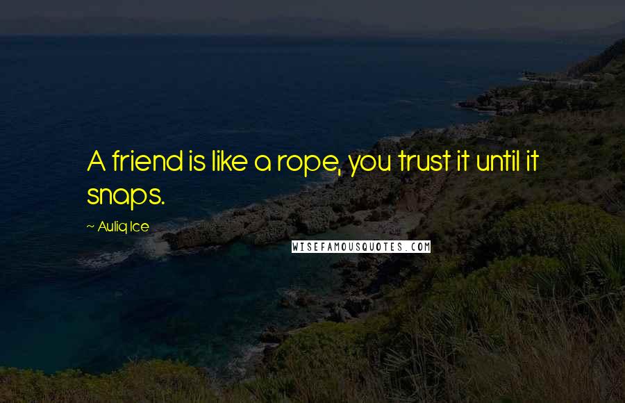 Auliq Ice Quotes: A friend is like a rope, you trust it until it snaps.