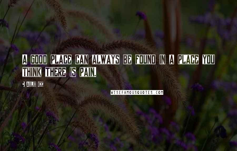 Auliq Ice Quotes: A good place can always be found in a place you think there is pain.