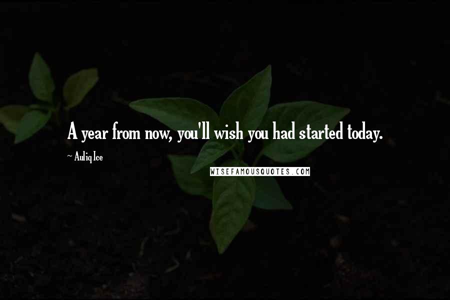 Auliq Ice Quotes: A year from now, you'll wish you had started today.