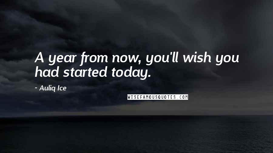 Auliq Ice Quotes: A year from now, you'll wish you had started today.
