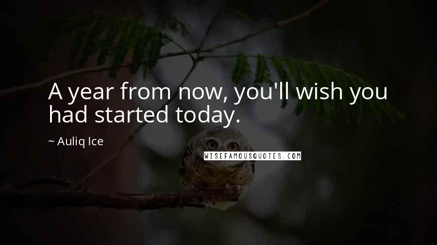 Auliq Ice Quotes: A year from now, you'll wish you had started today.