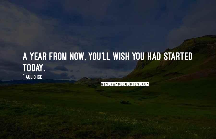 Auliq Ice Quotes: A year from now, you'll wish you had started today.