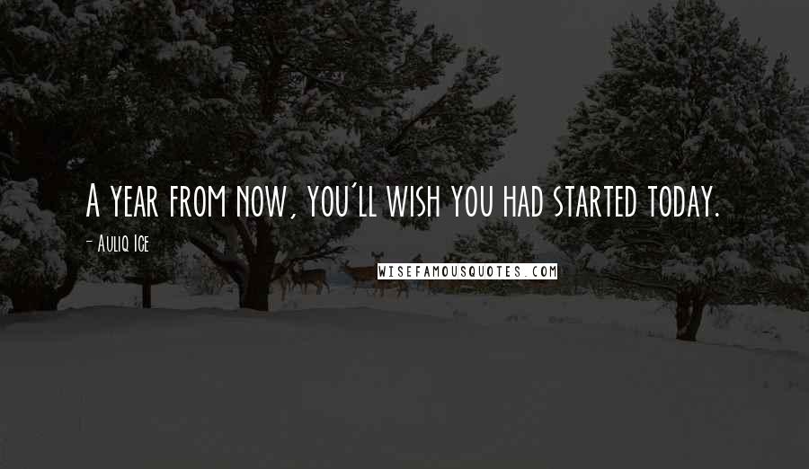 Auliq Ice Quotes: A year from now, you'll wish you had started today.