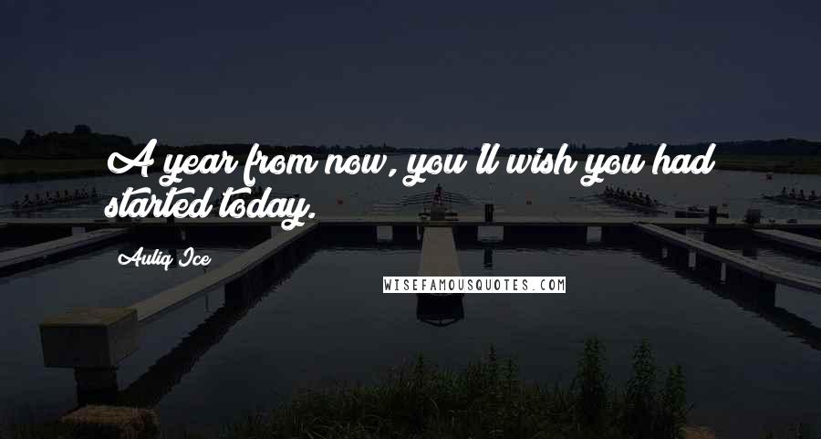 Auliq Ice Quotes: A year from now, you'll wish you had started today.
