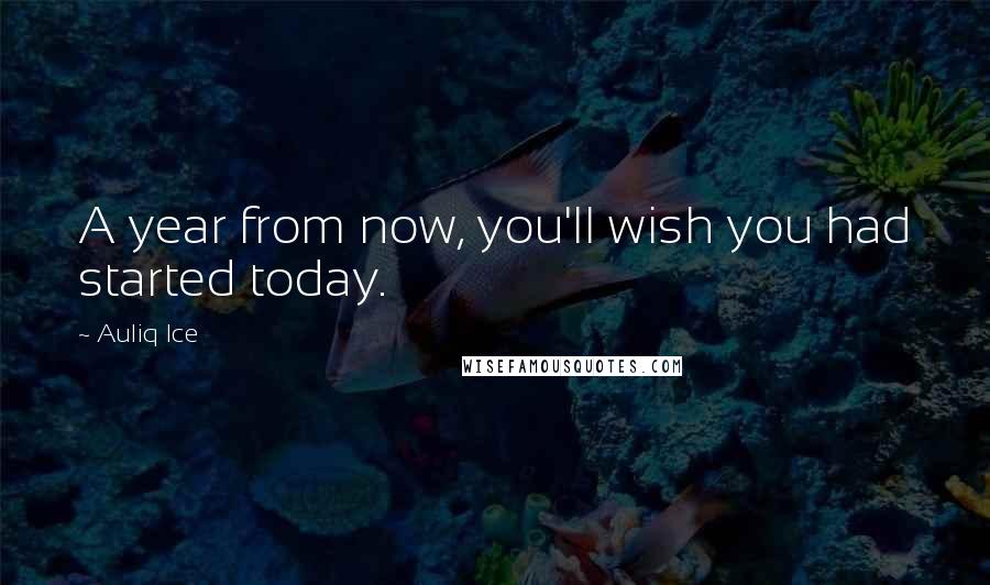 Auliq Ice Quotes: A year from now, you'll wish you had started today.