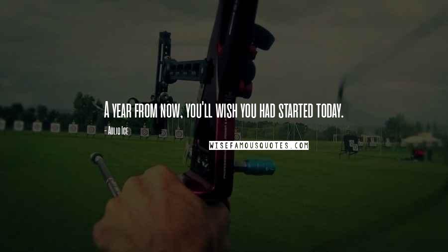 Auliq Ice Quotes: A year from now, you'll wish you had started today.