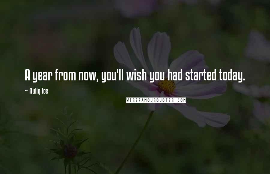 Auliq Ice Quotes: A year from now, you'll wish you had started today.