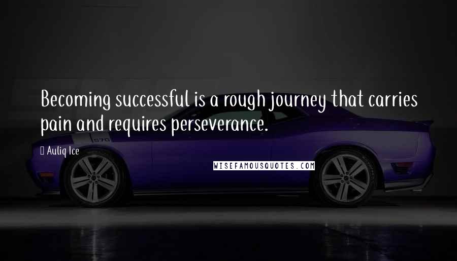 Auliq Ice Quotes: Becoming successful is a rough journey that carries pain and requires perseverance.
