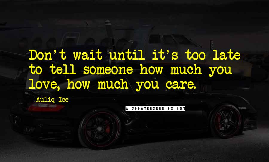 Auliq Ice Quotes: Don't wait until it's too late to tell someone how much you love, how much you care.