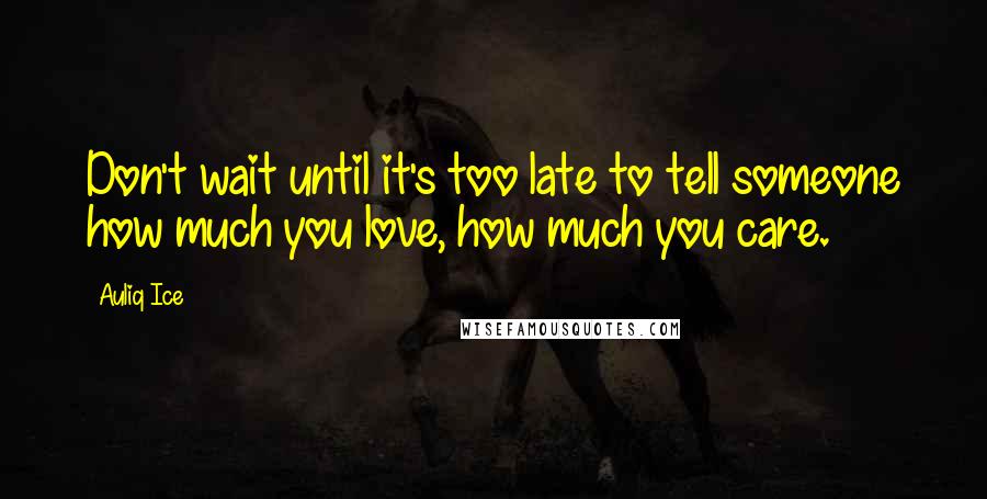 Auliq Ice Quotes: Don't wait until it's too late to tell someone how much you love, how much you care.