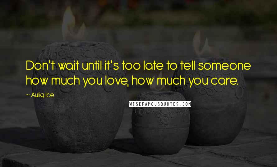 Auliq Ice Quotes: Don't wait until it's too late to tell someone how much you love, how much you care.