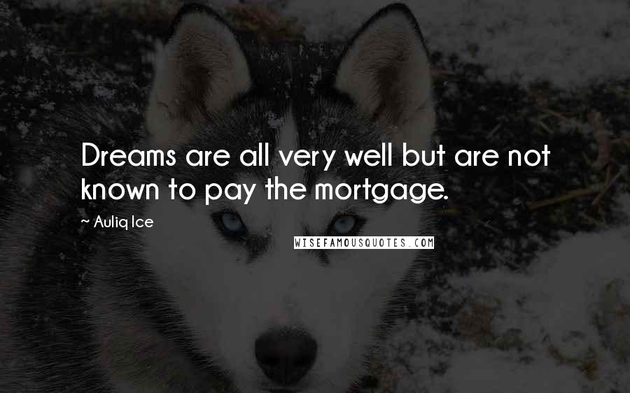 Auliq Ice Quotes: Dreams are all very well but are not known to pay the mortgage.