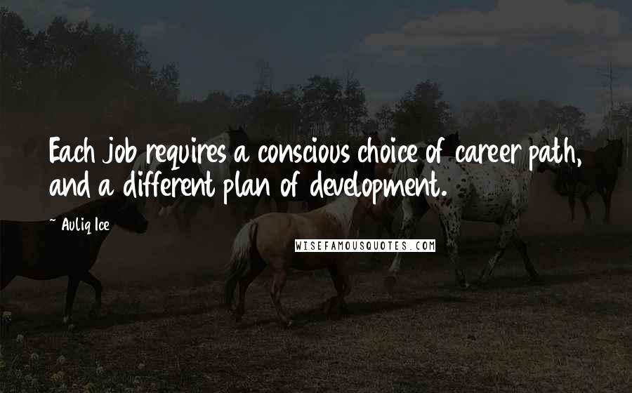 Auliq Ice Quotes: Each job requires a conscious choice of career path, and a different plan of development.