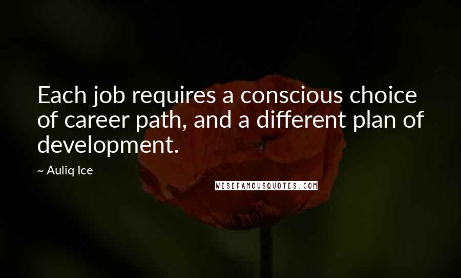 Auliq Ice Quotes: Each job requires a conscious choice of career path, and a different plan of development.