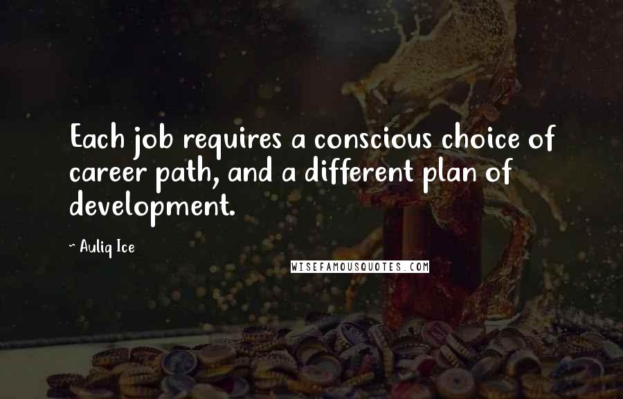 Auliq Ice Quotes: Each job requires a conscious choice of career path, and a different plan of development.