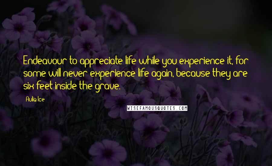 Auliq Ice Quotes: Endeavour to appreciate life while you experience it, for some will never experience life again, because they are six feet inside the grave.