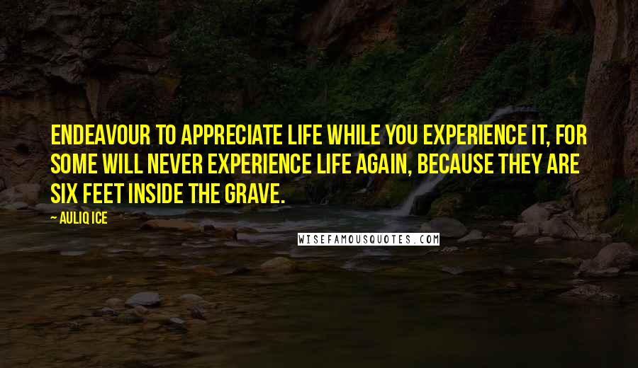 Auliq Ice Quotes: Endeavour to appreciate life while you experience it, for some will never experience life again, because they are six feet inside the grave.